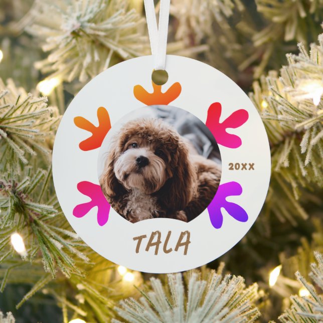 Dog Pet Name Photo Colorful Snowflake Metal Ornament (Insitu)
