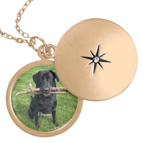 Dog Pet Personalized Name and Photo  Gold Plated Necklace