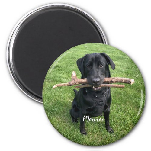 Dog Pet Personalized Name and Photo Holiday Magnet