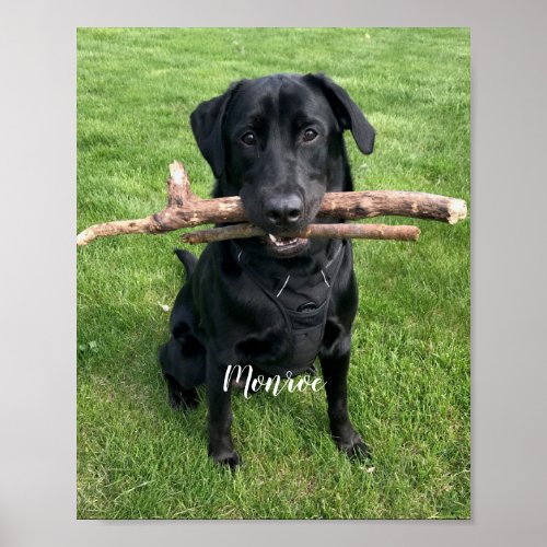 Dog Pet Personalized Name and Photo  Poster