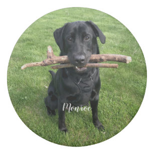 Teachers Pet Office School Supplies Zazzle