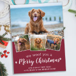 Dog Pet Photo Collage We Woof You Merry Christmas  Holiday Postcard<br><div class="desc">We Woof You A Merry Christmas! Send cute and fun holiday greetings with this super cute personalized custom pet photo holiday card. Merry Christmas wishes from the dog with cute paw prints in a fun modern photo collage design. Add your dog's photos or family photos with the dog, and personalize...</div>
