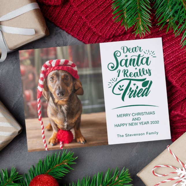 Dog pet photo Dear Santa I tried fun Christmas Letterpress Photo Cards (Creator Uploaded)