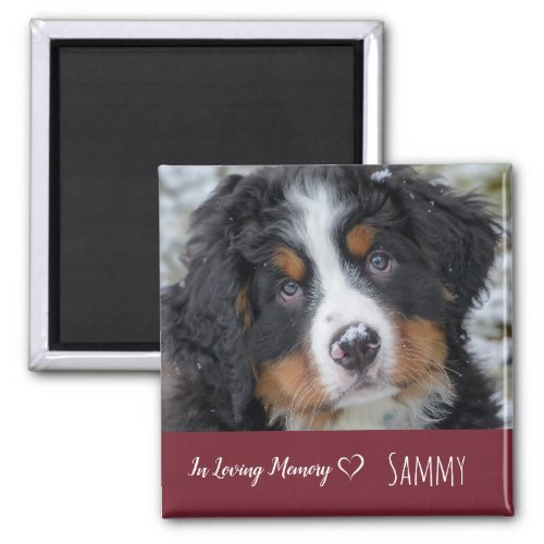 Dog Pet Photo Memorial _ Pet Loss Sympathy Quote Magnet