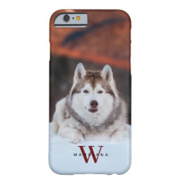 Dog Pet Photo Name Monogram on Apple X|11|12|13|14 Barely There iPhone 6 Case