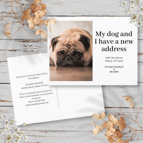 Dog Pet Photo New Address Ive Moved Modern  Announcement Postcard