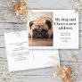 Dog Pet Photo New Address I've Moved Modern  Announcement Postcard