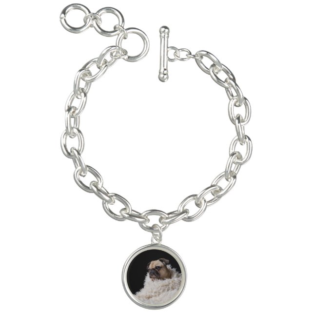 Dog pet photo silver charm bracelet (Product)
