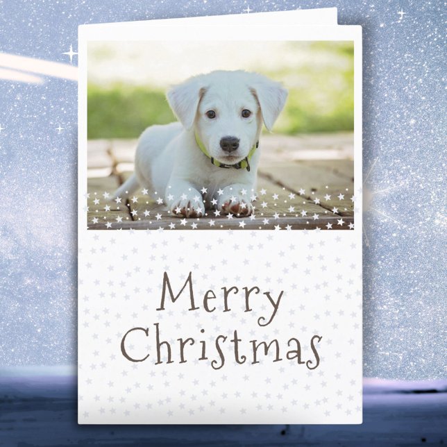 Dog Pet Photo Stars Merry Christmas Holiday Card (Creator Uploaded)