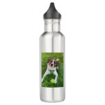 Dog Photo Add Two Photos Stainless Steel Water Bottle