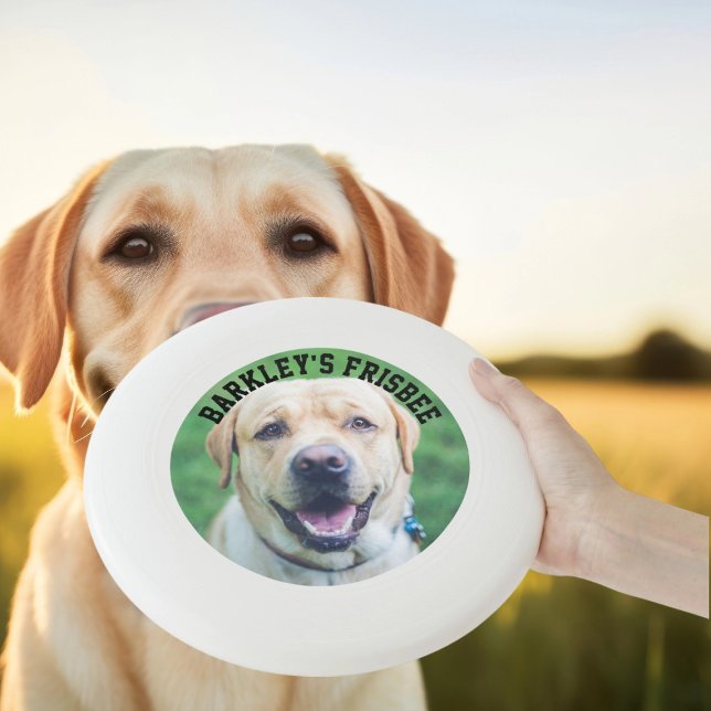 Dog Photo and Text Personalized  Wham-O Frisbee (Dog Photo and Text Personalized Wham-O Frisbee
by Ricaso. Dog toys with own photograph & text)