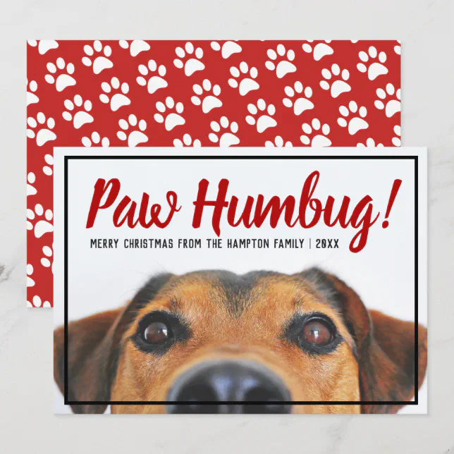 Dog Photo Bah Humbug Christmas Pet Holiday Card | Zazzle