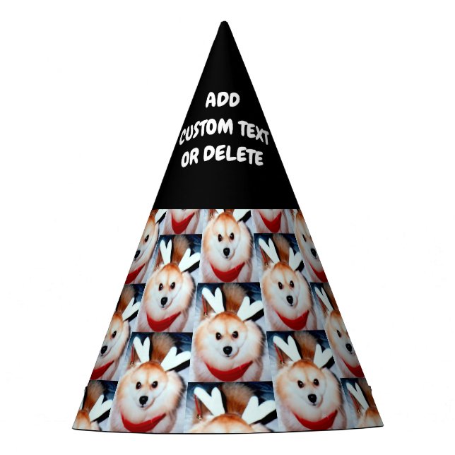 Dog Photo Birthday DIY  Party Hat (Front)