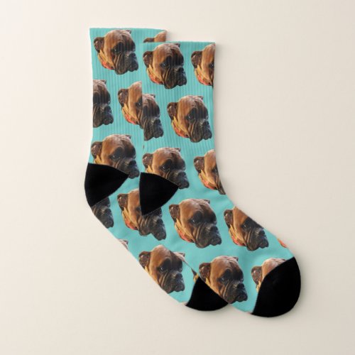 Dog Photo Boxer Puppy Fun Teal  Socks