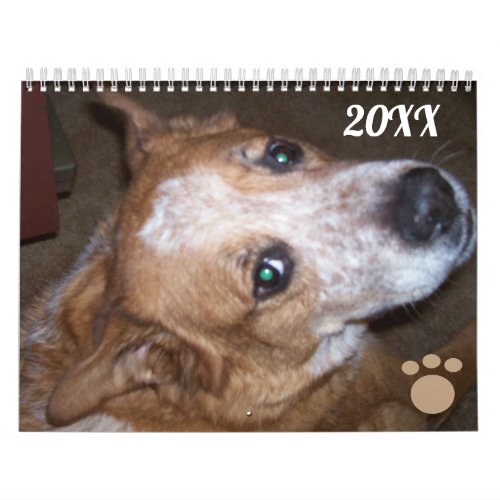 Dog Photo Calendar Ginger Queensland Heeler