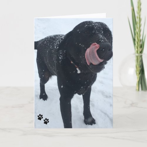 dog photo card