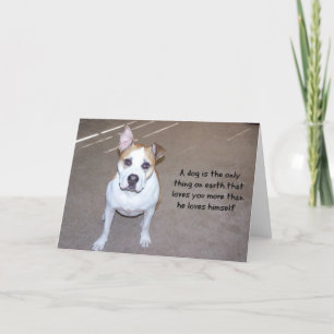 Dog Photo Card
