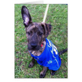 Dog Photo Card - Zero (Front)