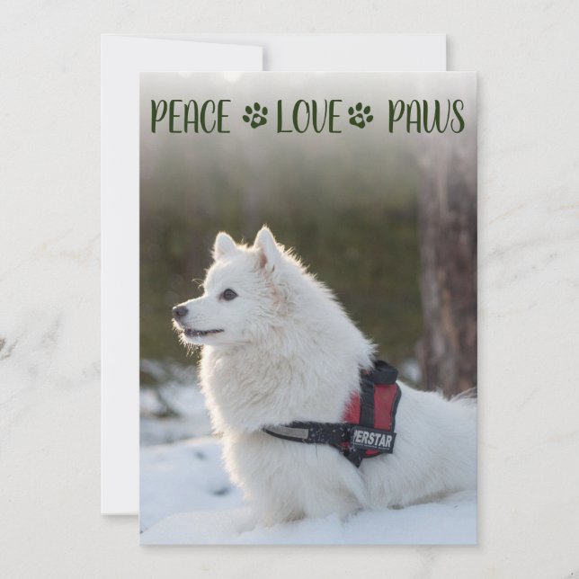 Dog Photo Christmas Flat Card (Front)