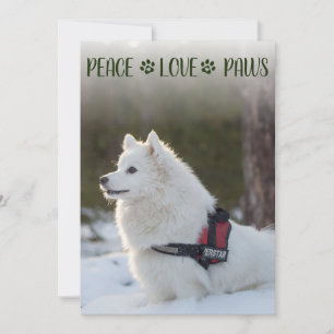 Dog Photo Christmas Flat Card