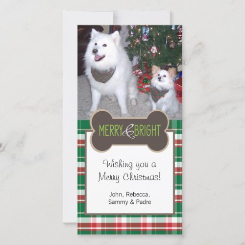Dog Photo Christmas Greeting Holiday Card