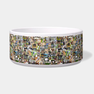 Dog Photo Collage, Bowl