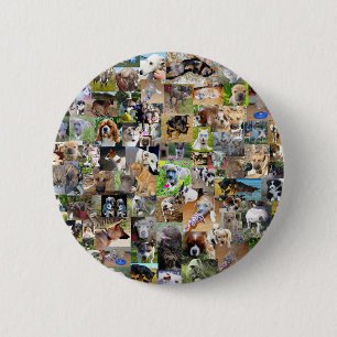 Dog Photo Collage, Button