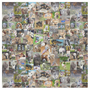Dog Photo Collage, Fabric