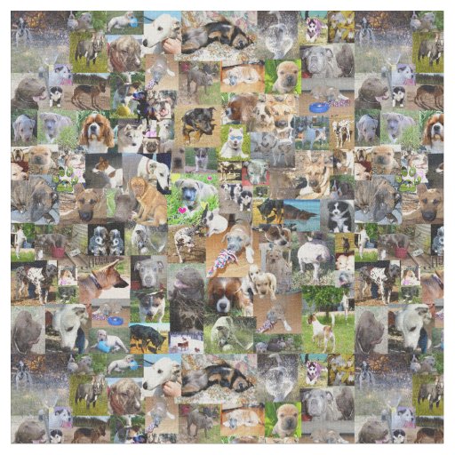 Dog Photo Collage, Fabric