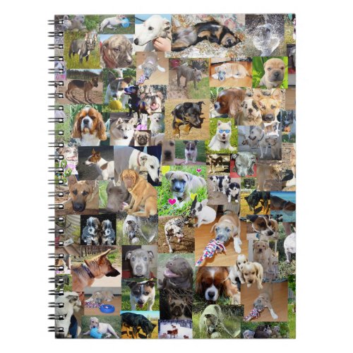 Dog Photo Collage Notebook