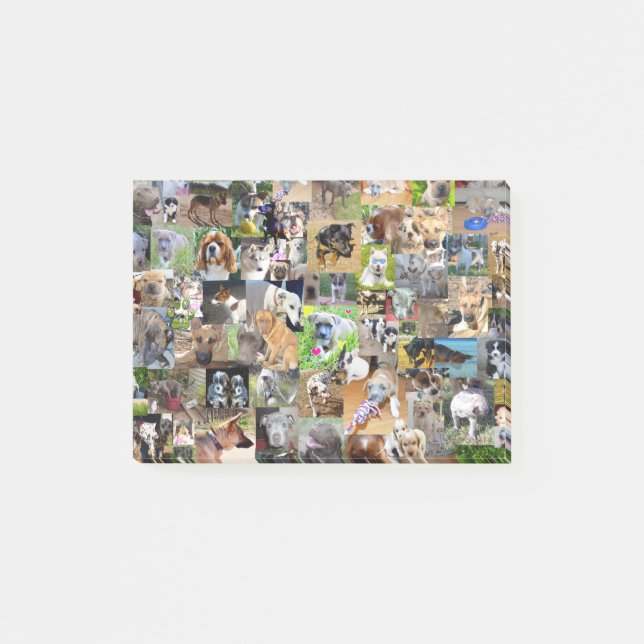 Dog Photo Collage, Post-it Notes (Front)