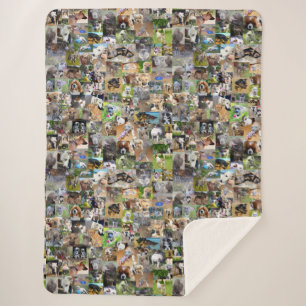 Dog Photo Collage, Sherpa Blanket