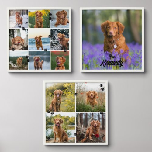 Dog Photo Collage with Little Paws Set of 3 Peel And Stick Photo Tile