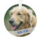 Dog Photo Custom Acrylic Christmas