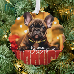 Dog Photo Custom Name and Text Ornament Card