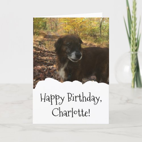 Dog Photo Custom Personalized Birthday Card
