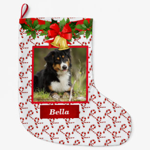 Dog Photo Cute  Christmas Stocking Custom Name