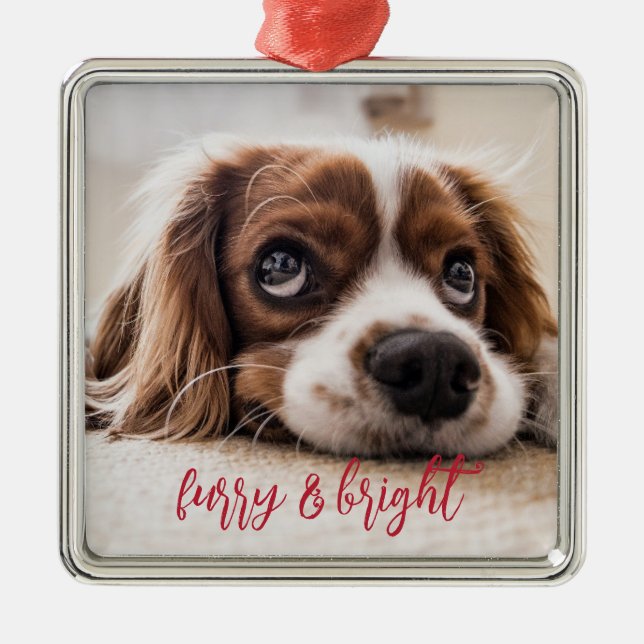 Dog Photo Furry And Bright Christmas Metal Ornament (Front)