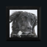 Dog Photo Gift For Mom And Dad From The Dog Gift Box<br><div class="desc">A keepsake Christmas gift box from your dog,  featuring your beloved pet or pets photo. Replace this sample photo with a photo of your sweet dog.</div>