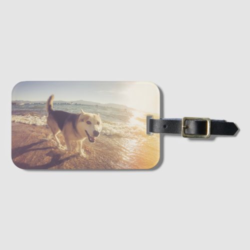 Dog Photo Gift Personalized Luggage Tag