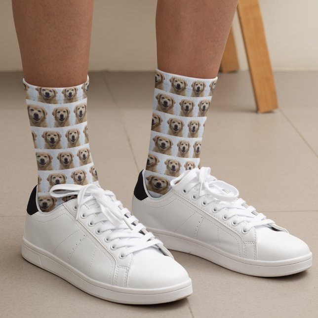 Dog Photo Golden Retriever Puppy Pet Socks (Dog Photo Golden Retriever Puppy Pet Socks)