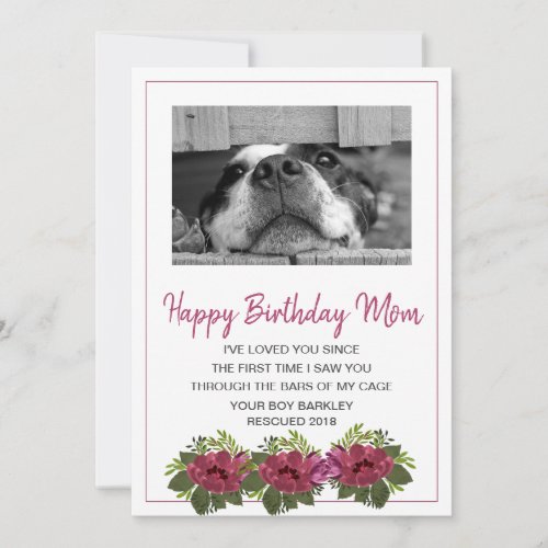 Dog Photo Happy Birthday Mom From Rescue Dog Holiday Card