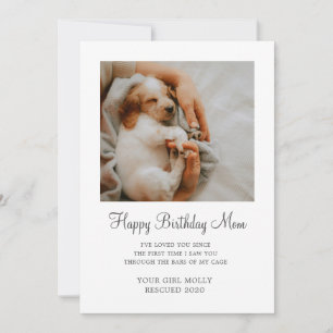Dog Photo Happy Birthday Mom From Rescue Dog Holiday Card