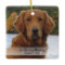 Dog Photo In Loving Memory Name Year Christmas