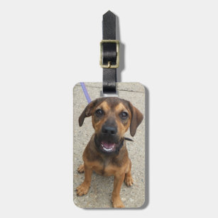 Dog Photo Luggage Tag