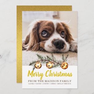 Dog Photo Merry Christmas Family Name Gold Foil Holiday Card