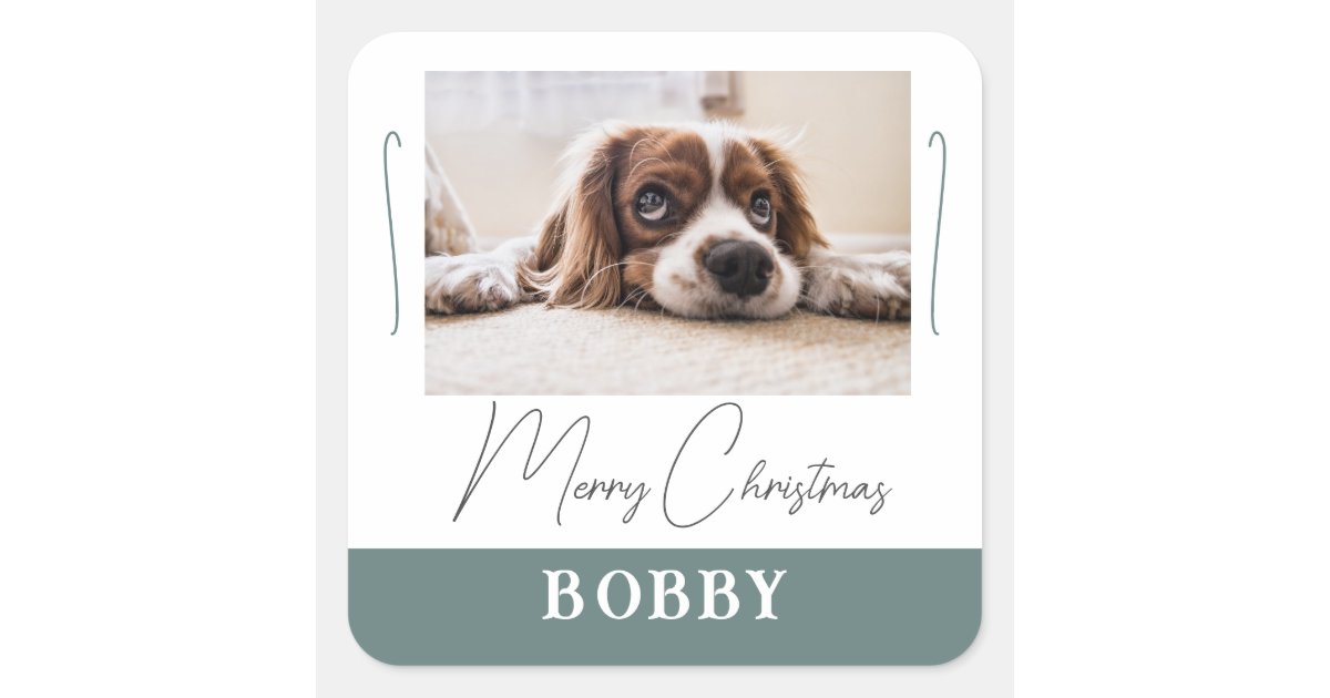 Dog Photo Minimalist Merry Christmas Square Sticker | Zazzle