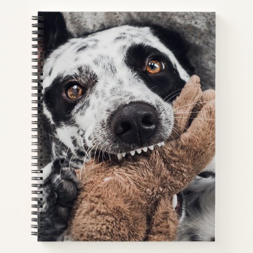 Dog Photo  Notebook