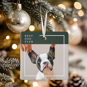 Dog Photo Ornament | Best Dog Ever Modern