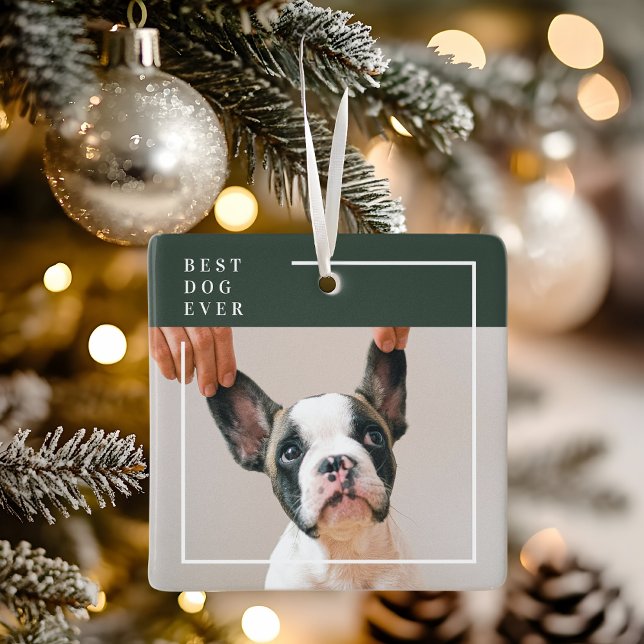 Dog Photo Ornament | Best Dog Ever Modern (Creator Uploaded)
